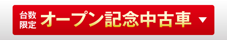 䐔 I[vIÎԂ
